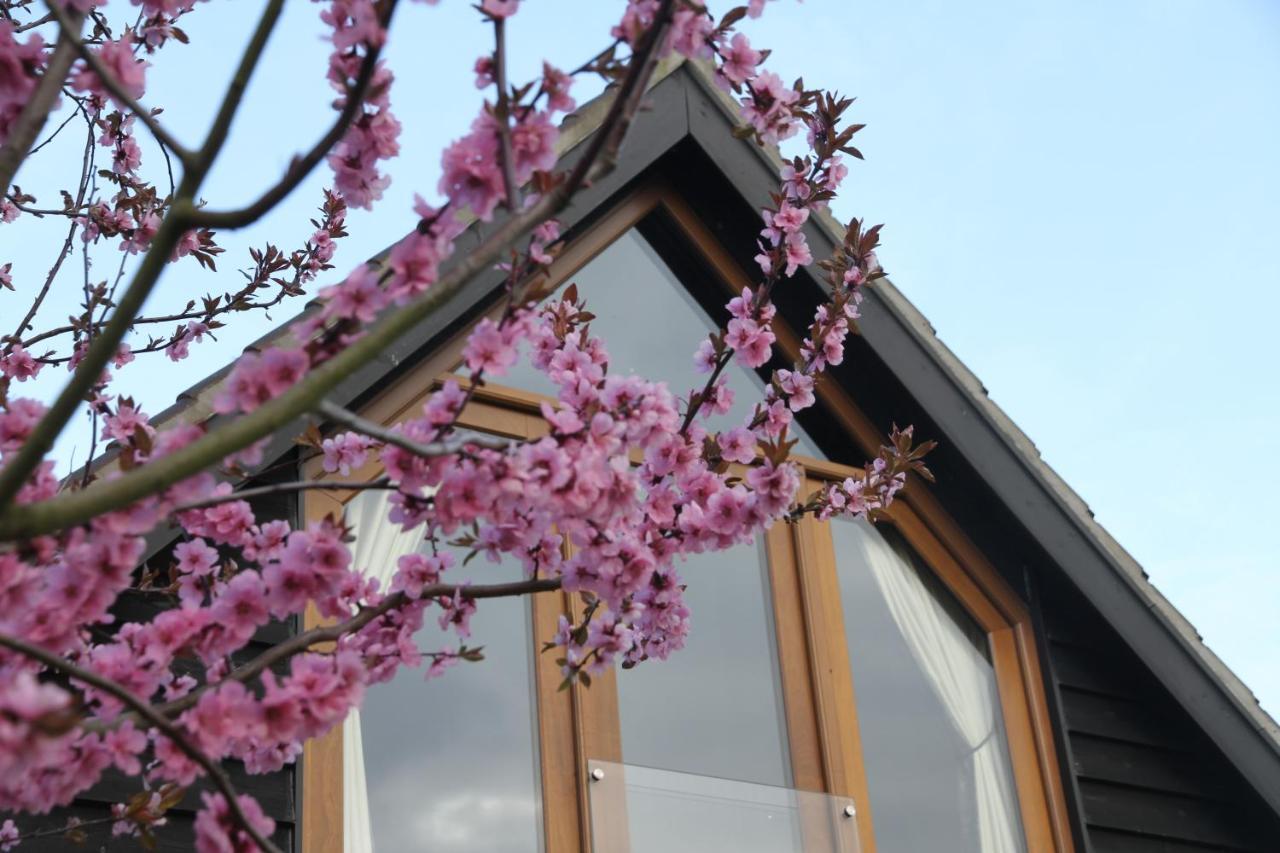 Superb Stokesby Barn Apartment - Norfolk Broads & Norwich Exterior foto